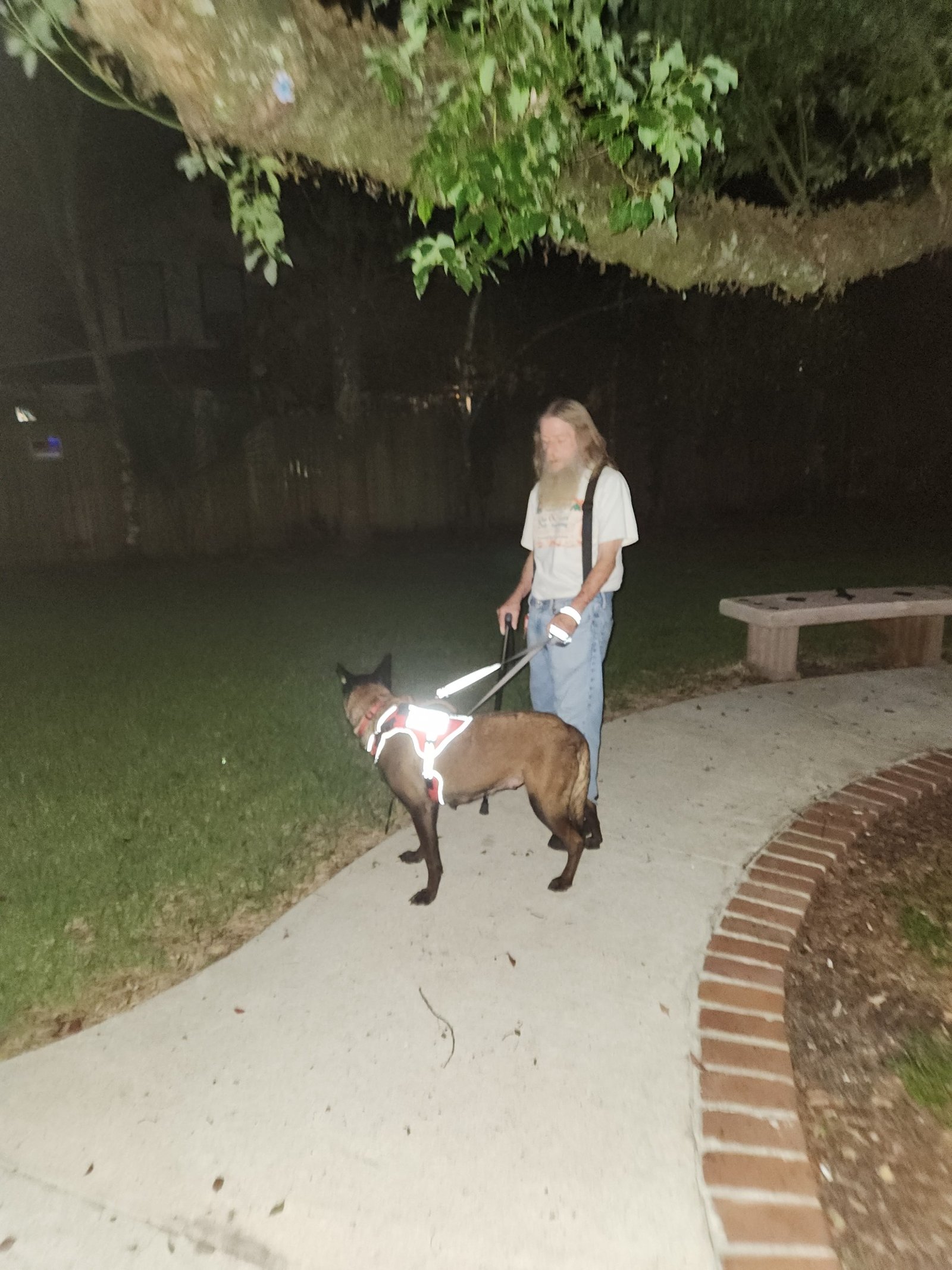 Traveling with a Service Dog Part 3