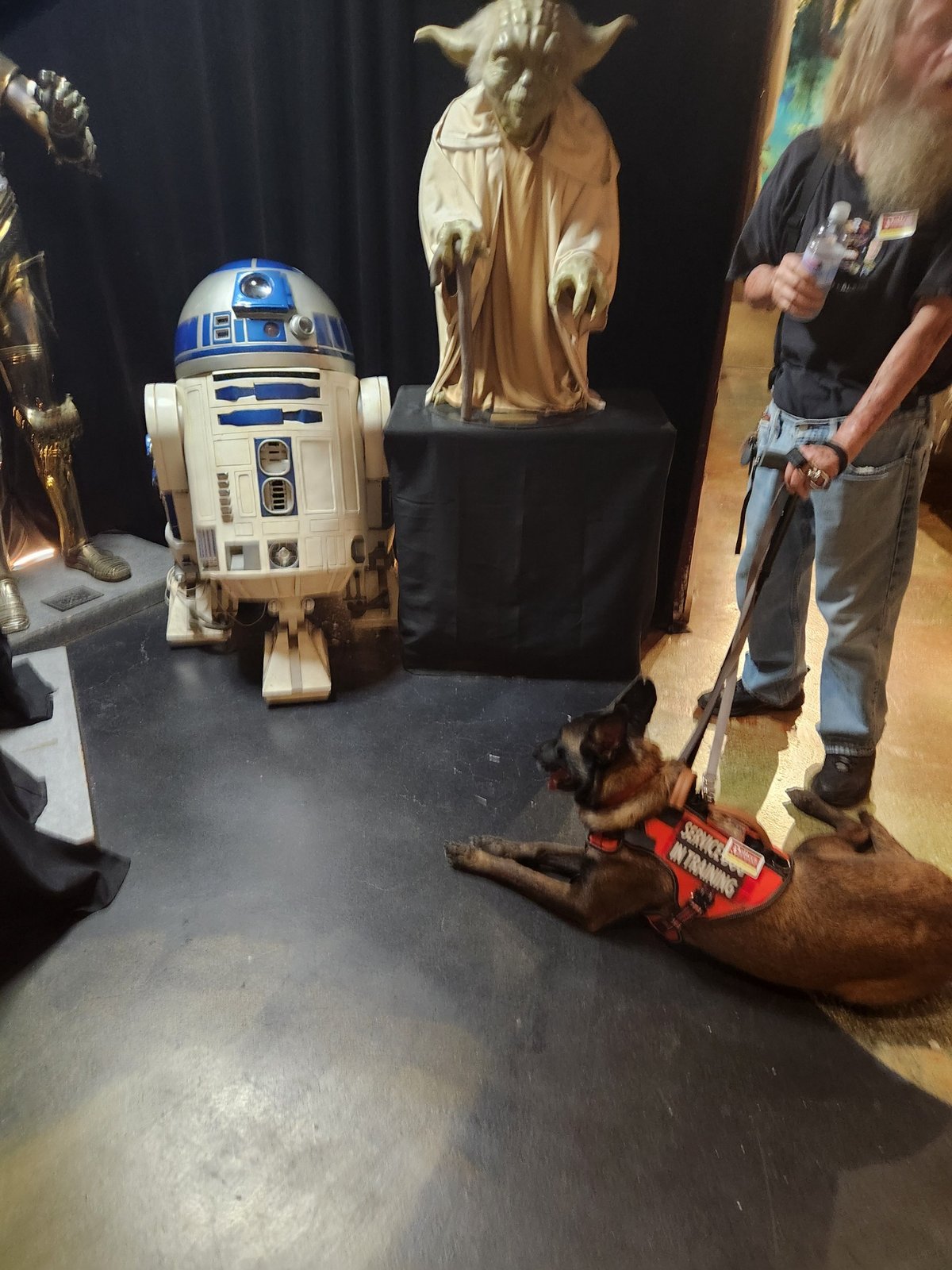 Traveling with a Service Dog Part 2.2