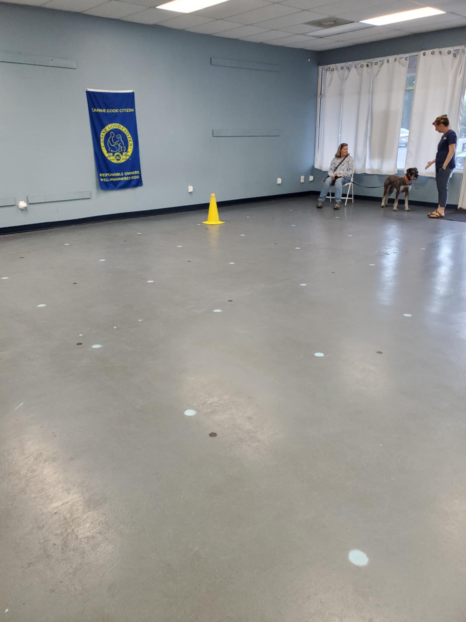 CGC training classroom at P.U.P.S. Dog Training, featuring instructor Jenny and a classmate dog near the Canine Good Citizen banner — where Lady Priscilla trained for her CGC title