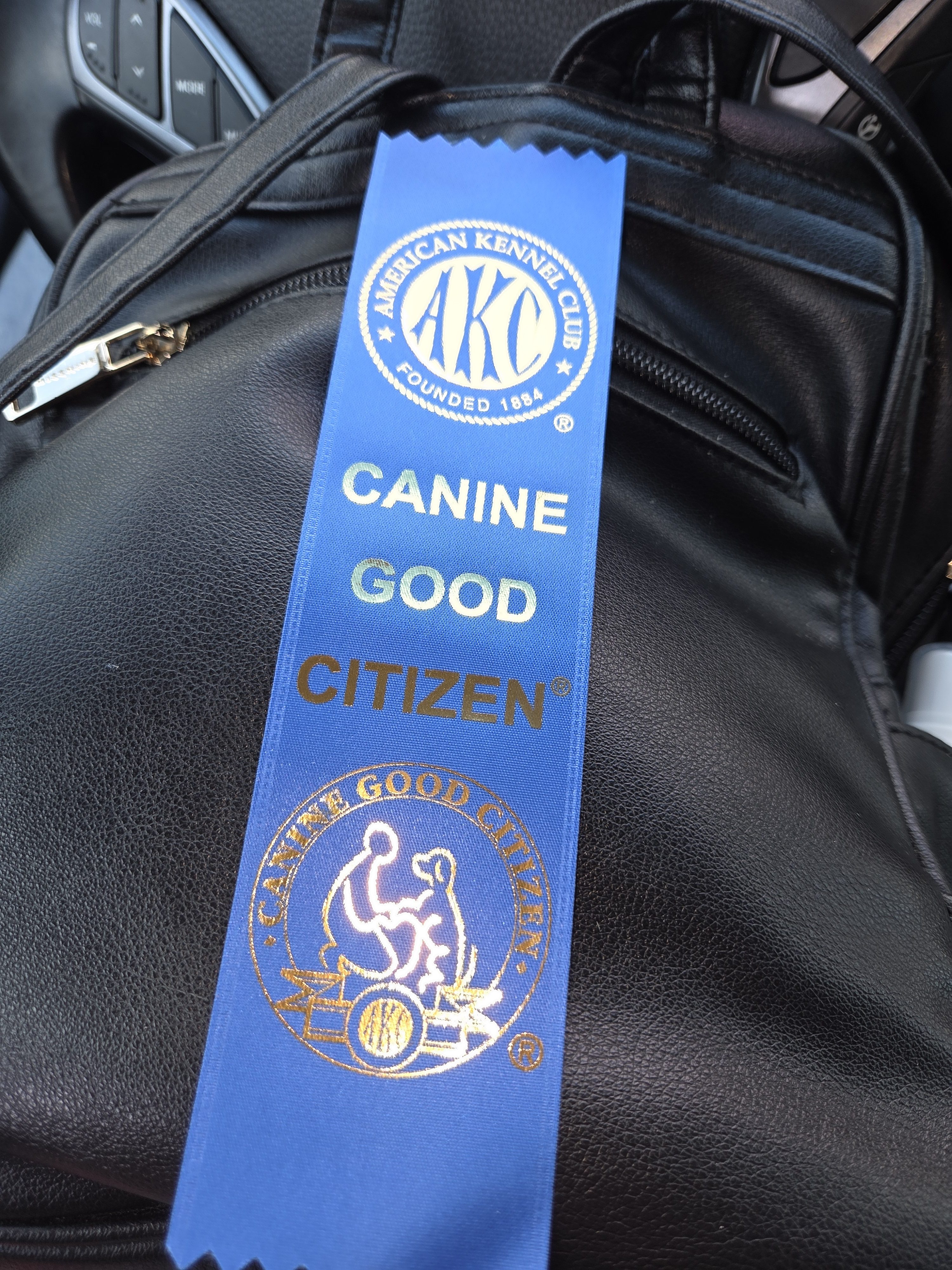 Putting the Lady Priscilla Method to the Test: CGC Results